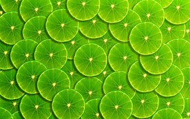 圆形荷叶树叶插画底纹