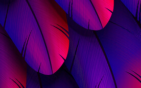 紫色红色渐变羽毛