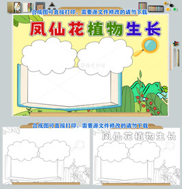 凤仙花植物观察手抄报小报图片