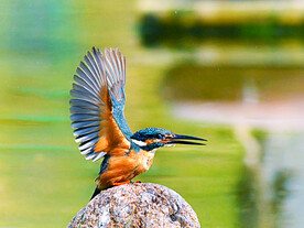 新疆五彩滩景区
