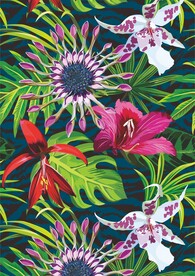 热带花植物高清矢量图