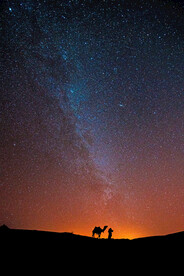 夜空骆驼
