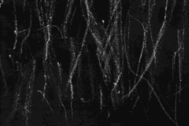 怀旧黑白划痕叠层背景图片 	