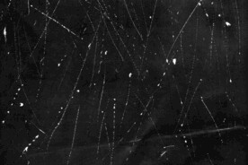 怀旧黑白划痕叠层背景图片 	