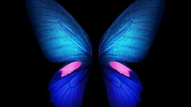 黑底蓝色蝴蝶卡通发光背景