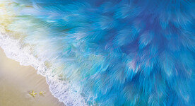 蓝色羽毛插画背景