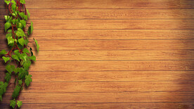 木板木材木纹背景