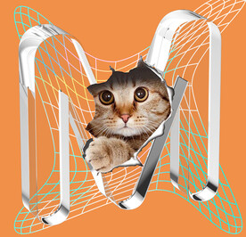 T恤图案印花设计 猫咪