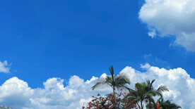 心若向阳 万物生光