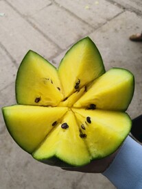 西瓜