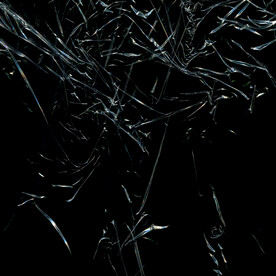 透明塑料袋纹理素材