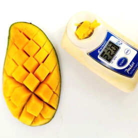 测量糖分的芒果