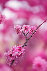 色彩处理风景摄影图片