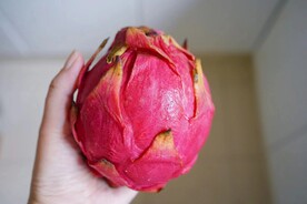 火龙果