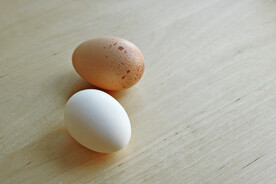鸡蛋 