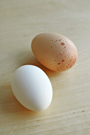 鸡蛋