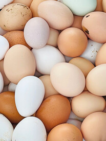 鸡蛋 