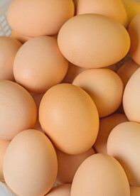 鸡蛋