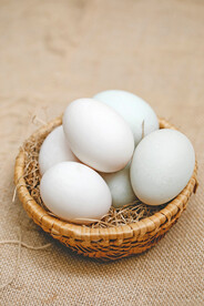 鸡蛋 