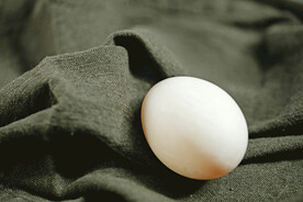 鸡蛋 