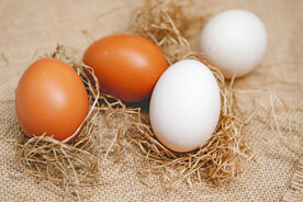 鸡蛋