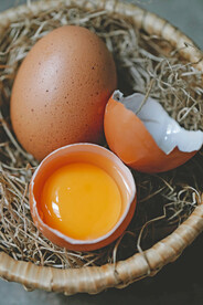 鸡蛋