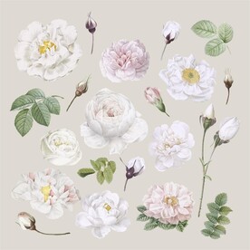 白色复古花卉