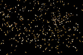 金色节日纸屑图片 