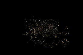 金色节日纸屑图片