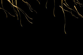 金色节日纸屑彩带图片 