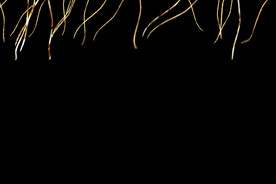 金色节日纸屑彩带图片 