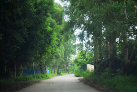 城市郊区乡村小路