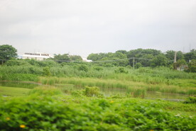 城市山林郊野鱼塘一角