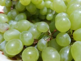 绿葡萄