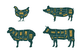 牛肉鸡肉猪肉剪影