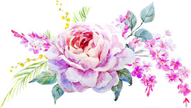 水彩花朵