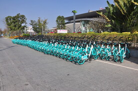 市区路边的共享单车停放有序