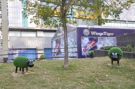 城市商区路边随拍