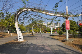 公园人行道上的攀爬植物景观装置