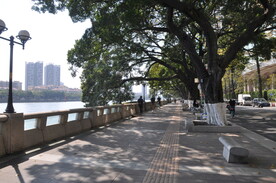 珠江河畔游客共享单车