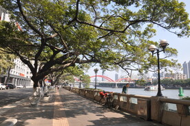沿江路广州古榕天字码头