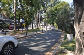 沙面环岛沿河林荫小路