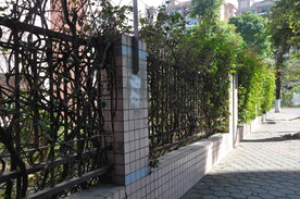 小区围墙植物