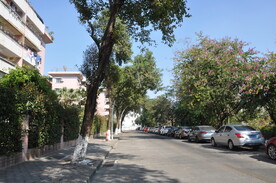 小区别墅区道路围墙