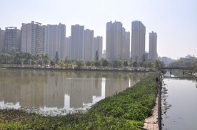 郊野公园湖景房