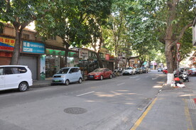 街边商铺与林荫道