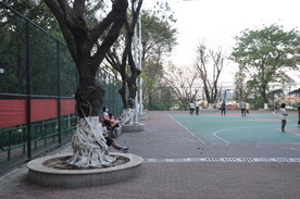 公园篮球场一角