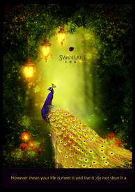 唯美华贵梦幻孔雀房地产广告设计