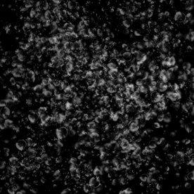 下雨水珠水滴水泡