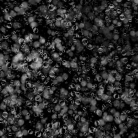 下雨水珠水滴水泡